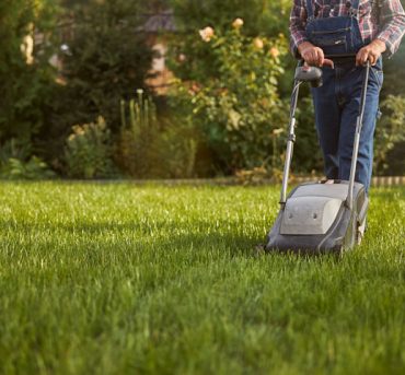 Lawn-Maintenance1
